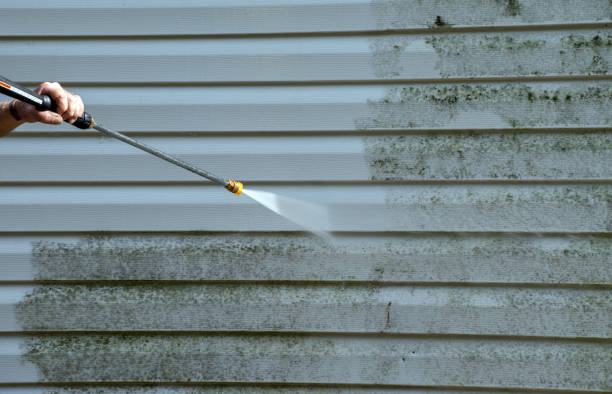 Trusted Annandale, MN Pressure Washing Services Experts