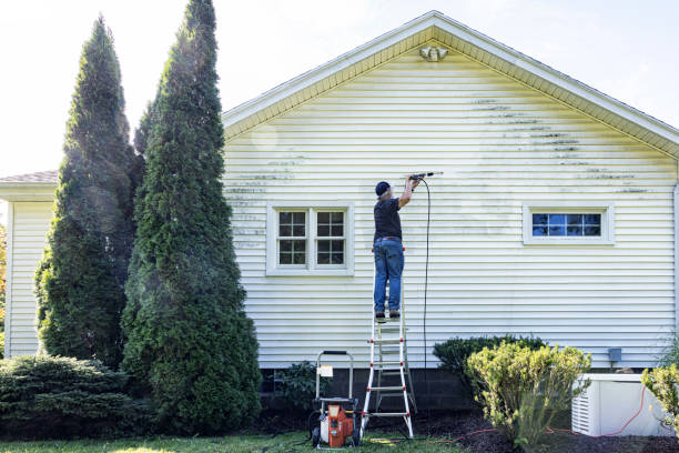 Best Gutter Cleaning and Brightening in Annandale, MN